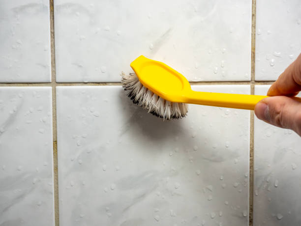 Trusted Hokes Bluff, AL Mold Removal Experts