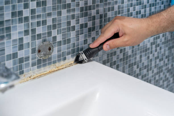 Best Mold Removal Company Near Me  in Hokes Bluff, AL
